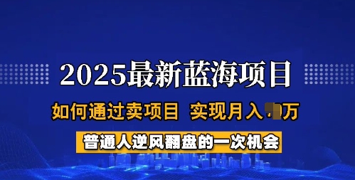 2025蓝海项目，普通人如何通过卖项目，实现月入过W，全过程【揭秘】-南友云赚