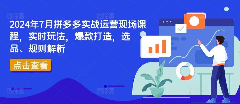 2024年7月拼多多实战运营现场课程，实时玩法，爆款打造，选品、规则解析-南友云赚
