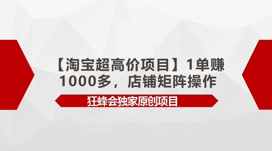 【淘宝超高价项目】1单赚1000多,店铺矩阵操作-南友云赚