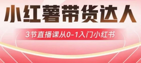 4e85dec5255972765e5a05043fbec477.jpeg 小红薯达人带货启航计划,3节直播课从0-1入门小红书