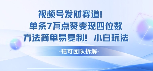 视频号发财赛道单条7W点赞变现四位数方法简单易复制小白玩法-南友云赚