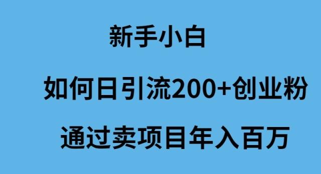 (9668期)新手小白如何日引流200+创业粉通过卖项目年入百万-南友云赚