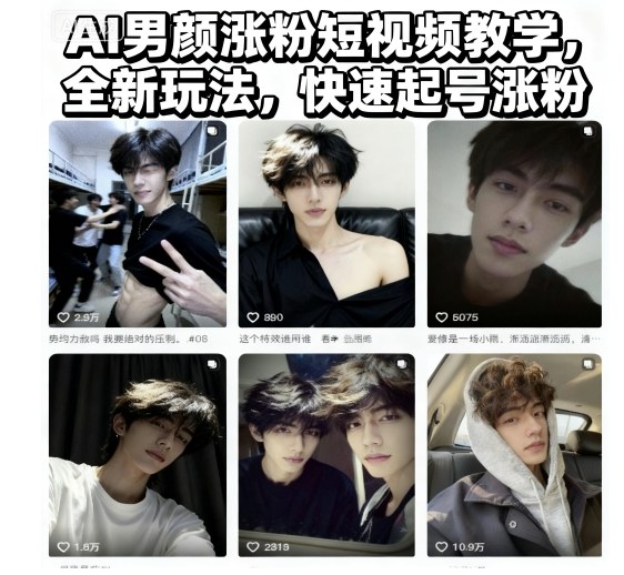 AI男颜涨粉短视频教学，全新玩法，快速起号涨粉-南友云赚