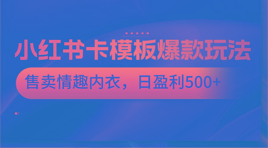 小红书卡模板爆款玩法，售卖情趣内衣，日盈利500+-南友云赚