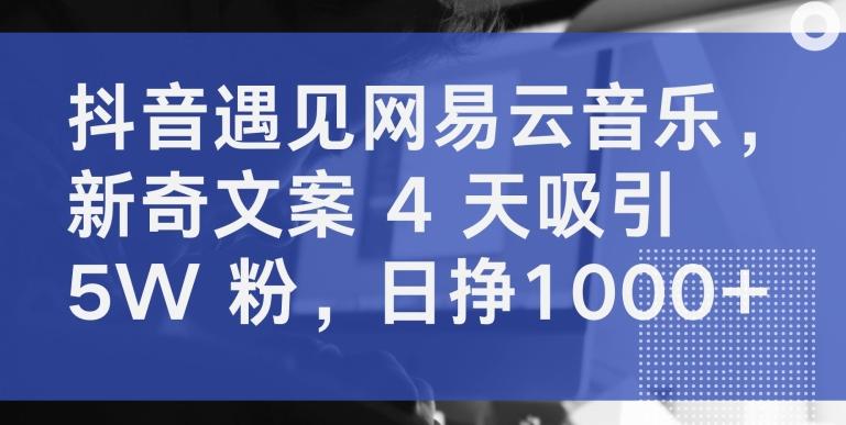 抖音遇见网易云音乐，新奇文案 4 天吸引 5W 粉，日挣1000+【揭秘】-南友云赚