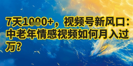 7天收益1k+，视频号新风口：中老年情感视频如何月入过W?-南友云赚