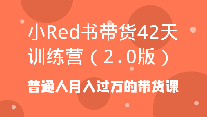 小Red书带货42天训练营(2.0版)普通人月入过万的带货课-南友云赚