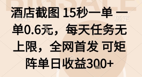 酒店截图15秒一单，一单0.6米，每天任务无上限，全网首发可矩阵单日收益3张【揭秘】-南友云赚