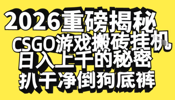 2026开年重磅解密，CSGO游戏搬砖挂G日入1k+的秘密，把倒狗的底裤扒干【揭秘】-南友云赚