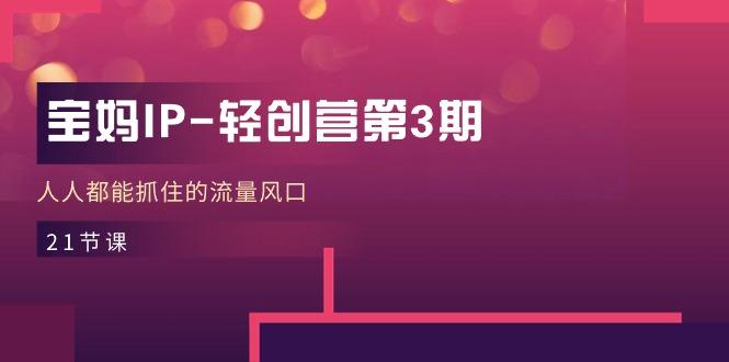 宝妈IP-轻创营第3期，人人都能抓住的流量风口(21节课-南友云赚