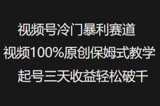 视频号冷门暴利赛道视频100%原创保姆式教学起号三天收益轻松破千-南友云赚