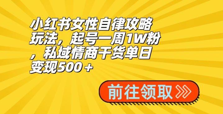 小红书女性自律攻略玩法，起号一周1W粉，私域情商干货单日变现500＋-南友云赚