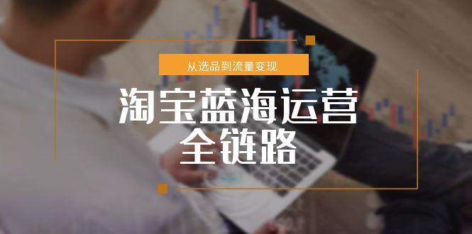 淘宝蓝海运营全链路，从选品到流量变现，小类目突围完整方案-南友云赚
