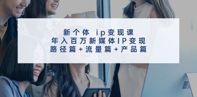 新个体ip变现课,年入百万新媒体IP变现,路径篇+流量篇+产品篇-南友云赚