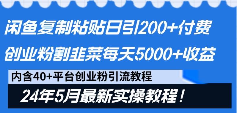闲鱼复制粘贴日引200+付费创业粉，24年5月最新方法！割韭菜日稳定5000+收益-南友云赚