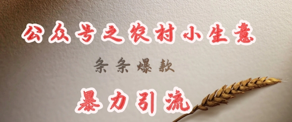 56dd9c809026d4d105771c603542f213.jpeg deepseek写农村小项目,条条爆款,暴力引流