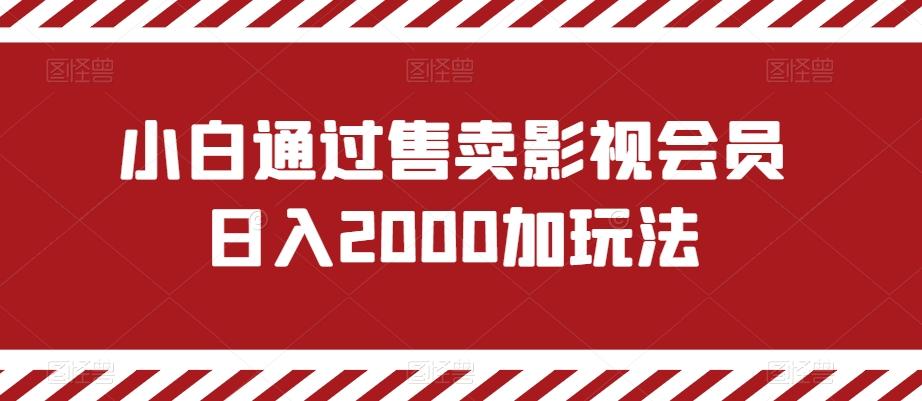 小白通过售卖影视会员日入2000加玩法-南友云赚