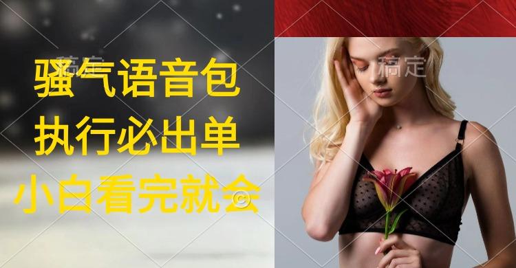 (9589期)执行就出单，日入2000+，超火骚气语音包，小白看完课程就能马上实操-南友云赚