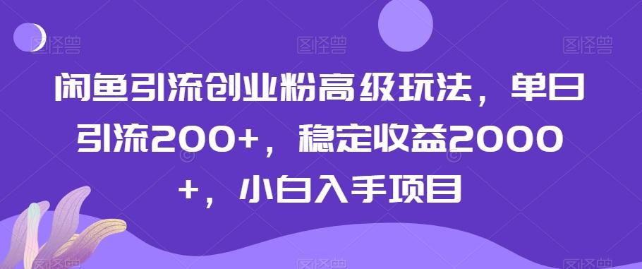 闲鱼引流创业粉高级玩法，单日引流200+，稳定收益2000+，小白入手项目-南友云赚