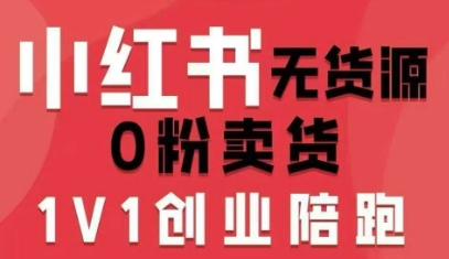 小红书无货源0粉电商课，开店准备、选品策略、笔记撰写、视频剪辑、数据分析、账号打造、资料文档(更新)-南友云赚