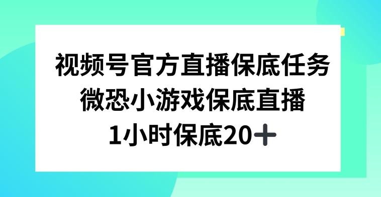 视频号直播任务，微恐小游戏，1小时20+【揭秘】-南友云赚