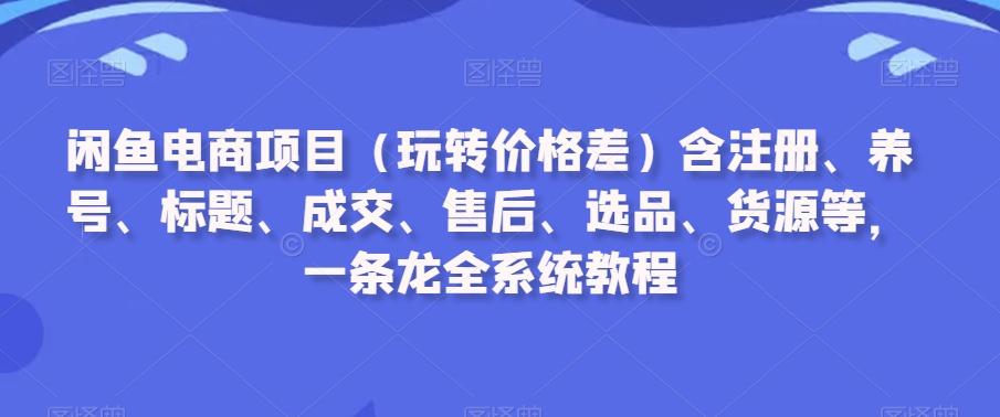闲鱼电商项目(玩转价格差)含注册、养号、标题、成交、售后、选品、货源等，一条龙全系统教程-南友云赚