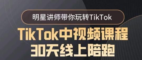 TikTok中视频课程30天线上陪跑，明星讲师带你玩转TikTok-南友云赚