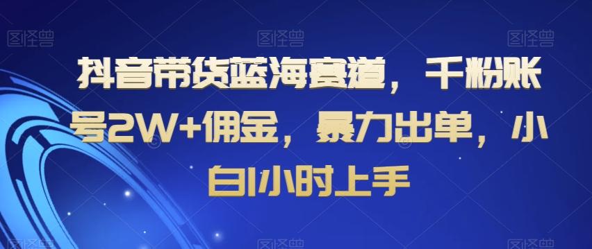 抖音带货蓝海赛道，千粉账号2W+佣金，暴力出单，小白1小时上手【揭秘】-南友云赚