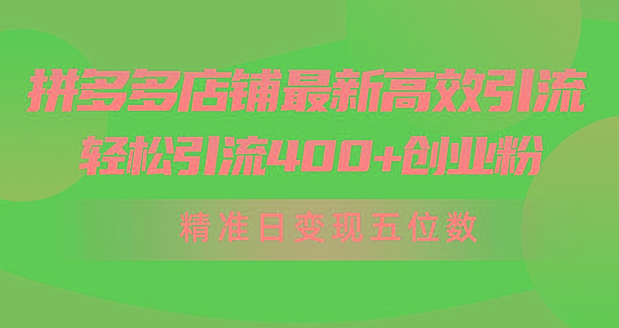 (10041期)拼多多店铺最新高效引流术，轻松引流400+创业粉，精准日变现五位数！-南友云赚