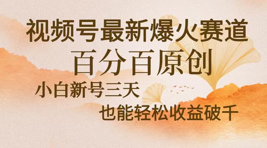 视频号最新爆火赛道，中老年粉深信不疑，百分百原创，新号三天收益轻松…-南友云赚