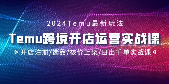 2024Temu跨境开店运营实战课，开店注册/选品/核价上架/日出千单实战课-南友云赚