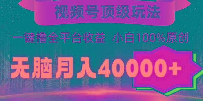 (9281期)视频号顶级玩法，无脑月入40000+，一键撸全平台收益，纯小白也能100%原创-南友云赚