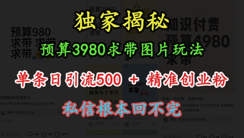 62c4011c32fb8cfa1cd5d31fb0e28931.jpeg 预算3980求带 图片玩法,单条日引流500+精准创业粉,私信根本回不完