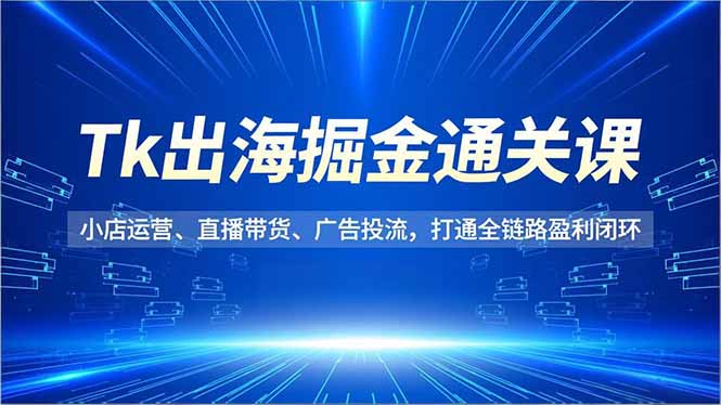 Tk出海掘金通关课，小店运营、直播带货、广告投流，打通全链路盈利闭环-南友云赚
