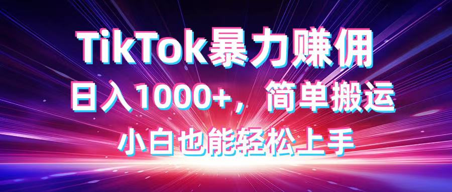 TikTok搬运暴力赚佣，日入1000+，简单搬运，小白也能轻松上手-南友云赚