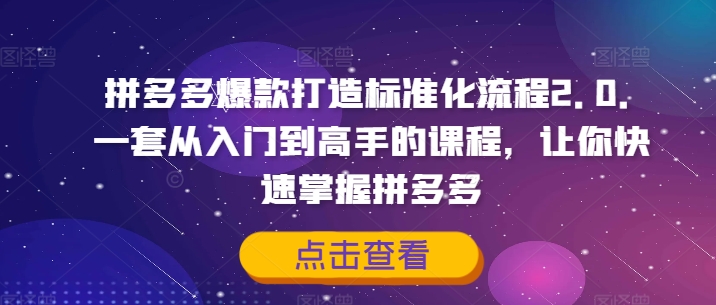 拼多多爆款打造标准化流程2.0，一套从入门到高手的课程，让你快速掌握拼多多-南友云赚