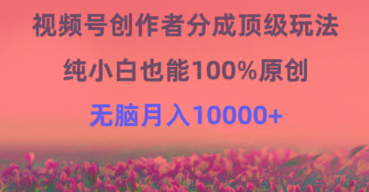 (9608期)视频号创作者分成顶级玩法，纯小白也能100%原创，无脑月入10000+-南友云赚