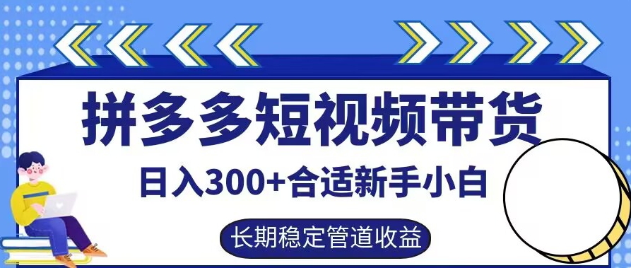 拼多多短视频带货日入300+有长期稳定被动收益，合适新手小白【揭秘】-南友云赚