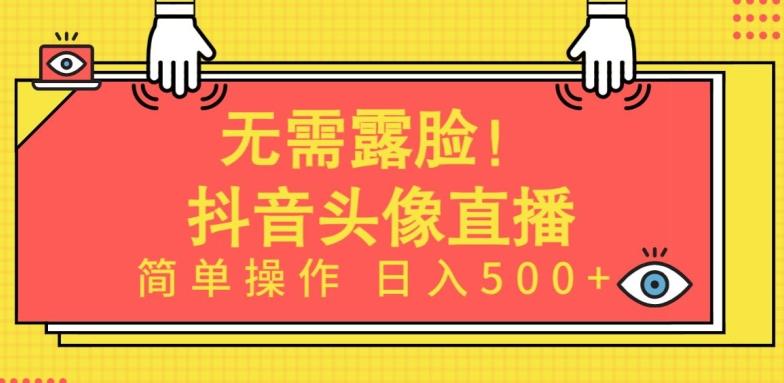 无需露脸，Ai头像直播项目，简单操作日入500+【揭秘】-南友云赚
