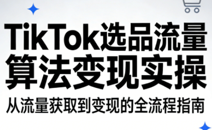 TikTok选品流量算法变现实操-南友云赚