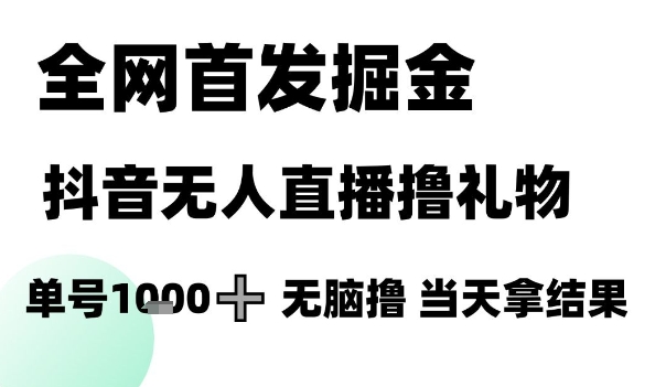 全网首发掘金抖音无人直播撸礼物，单号1k +无脑撸，当天拿结果【揭秘】-南友云赚