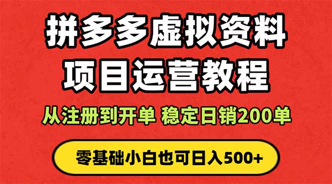 拼多多开店运营课程： 蓝海变现玩法，轻松实现睡后收入 零基础小白也可…-南友云赚
