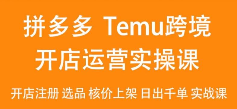 2024Temu最新玩法，Temu跨境开店运营实操课，开店注册/选品/核价上架/日出千单实战课-南友云赚