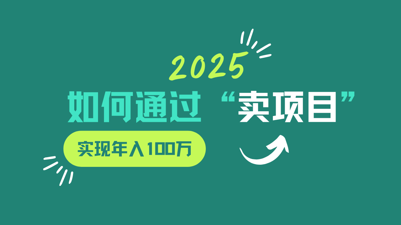 2025年如何通过“卖项目”实现年入100w-南友云赚