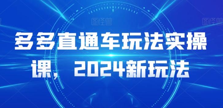多多直通车玩法实操课，2024新玩法-南友云赚