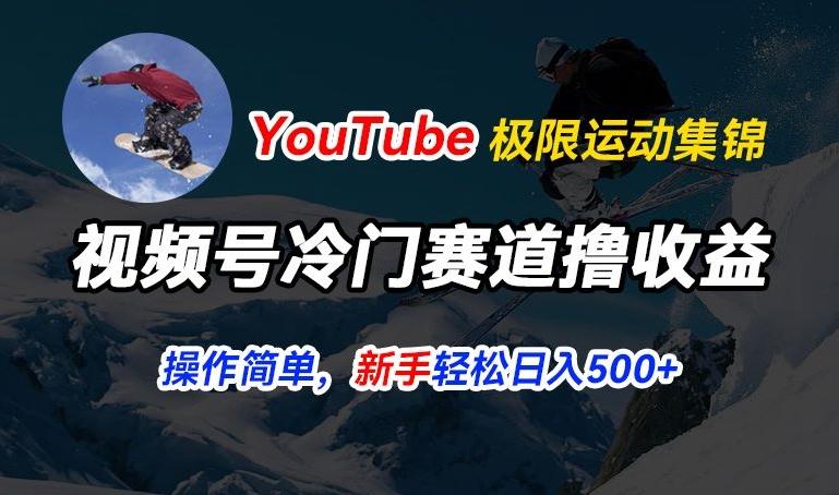 视频号冷门赛道撸收益，YouTube搬运极限运动集锦，暴力起号，操作简单流量高，轻松日入5张【揭秘】-南友云赚