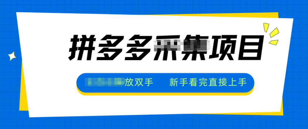 拼多多电商采集，一小时50+，操作简单，零投资-南友云赚