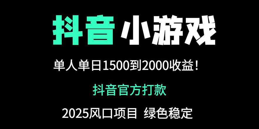 抖音官方小游戏2025全网最新玩法，暴利赚钱项目，单机日入2000+-南友云赚