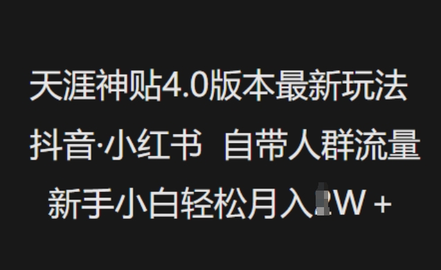 天涯神贴4.0版本最新玩法，抖音·小红书自带人群流量，新手小白轻松月入过W-南友云赚