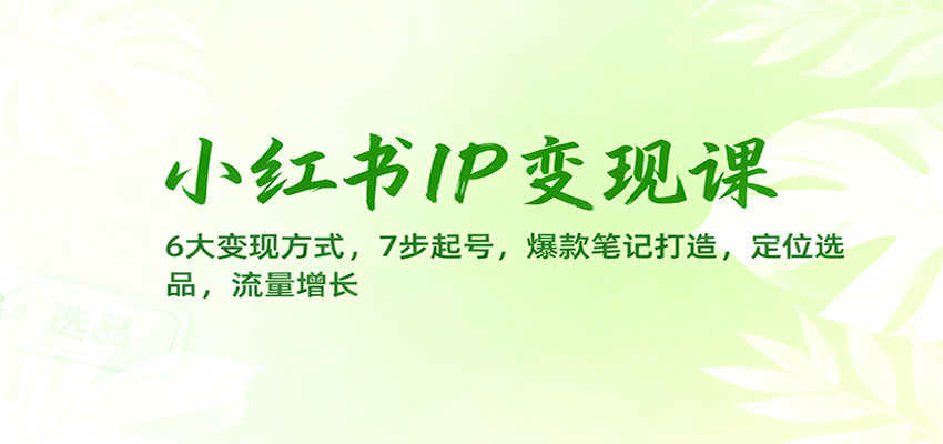 小红书IP变现课：6大变现方式，7步起号，爆款笔记打造，定位选品，流量增长-南友云赚